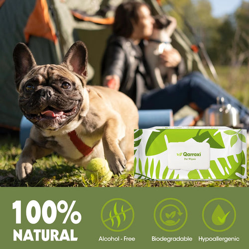 Lingettes Nettoyantes Douces à l'Aloe Vera — 100 pièces